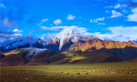 2023西藏旅游行业现状与市场发展前景趋势分析