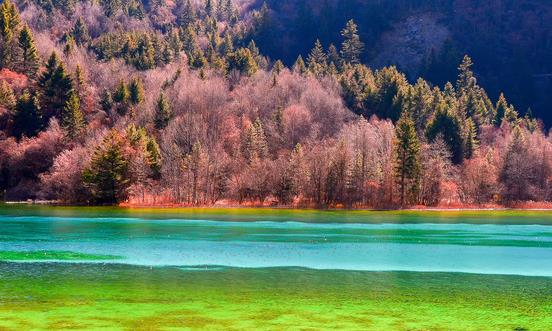 四川省在线旅游行业市场现状 四川省在线旅游市场发展前景预测