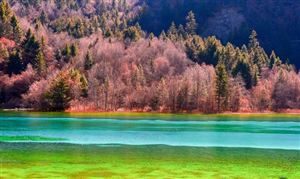 四川省在线旅游行业市场现状 四川省在线旅游市场发展前景预测