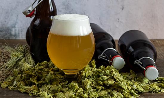 2023啤酒酵母行业市场深度调研及投资预测