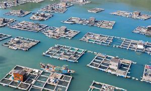 中国海洋牧场行业发展现状 中国海洋牧场行业投资前景分析