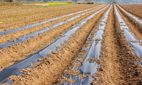 中国农用薄膜行业市场全面分析及发展趋势调研报告