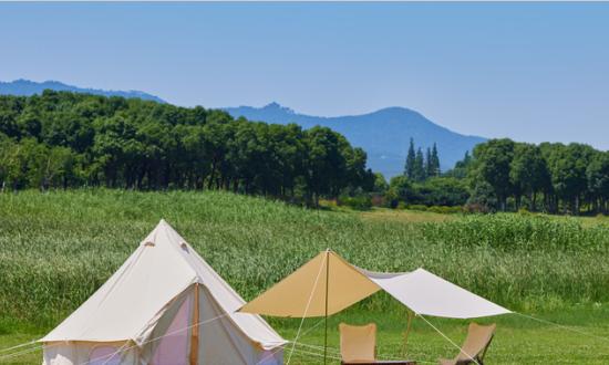 2023野餐用品发展需求与行业趋势分析