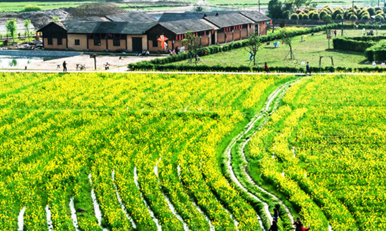 农庄旅游行业发展态势 农庄旅游行业投资前景