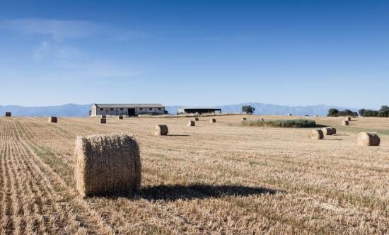 秸秆发电行业发展分析 秸秆发电行业现状2023