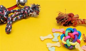 2023宠物玩具市场调查及宠物玩具行业供需分析