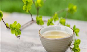 茶多酚行业应用哪些领域？茶多酚行业前景分析