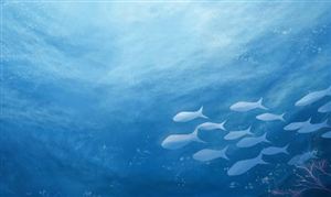 宁夏到底有多缺水 2023水资源开发市场现状及前景分析