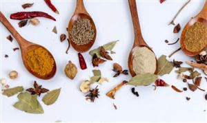 2023年中国花椒市场投资机会分析