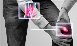 仿生材料行业市场前景多大 仿生塑料行业市场深度调研与趋势预测研究报告