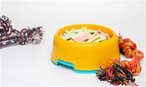 2023宠物玩具行业供需分析及发展前景报告