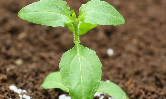 化肥是春耕农资稳价保供的焦点 2023化肥行业发展趋势及需求分析