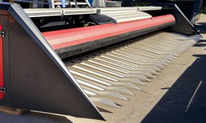 2023粮食加工行业调研 粮食加工行业前景分析