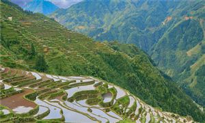 2023乡村旅游行业现状与市场发展前景趋势分析