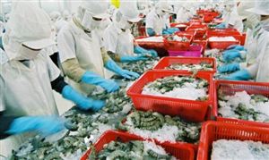 水产品加工投资潜力 2023水产品加工行业发展现状与前景分析