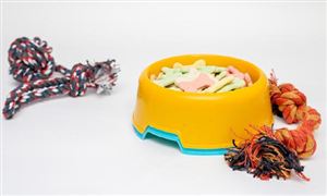 2023宠物食品行业报告 宠物食品行业市场调研