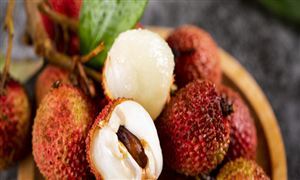 荔枝连续第五个季度实现GAAP层面盈利 荔枝行业市场深度调研及投资价值分析研究报告