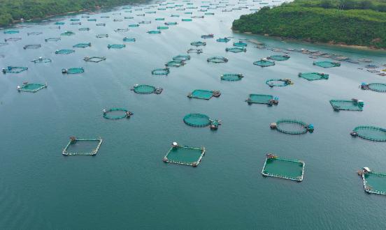 水产养殖设备市场现状 2023水产养殖设备供需分析