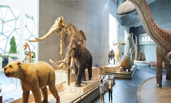 2023科普教育基地行业现状与市场发展前景趋势分析