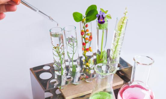 农业生物技术是指什么?农业生物技术发展现状如何?