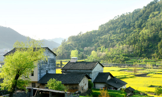 农村基本建设行业市场分析及投资战略