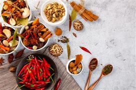 2023全国餐饮收入同比增长9.2% 餐饮产业区域发展战略研究