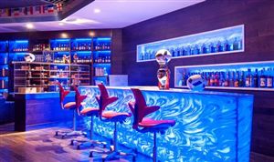 2023年中国酒吧行业发展现状分析