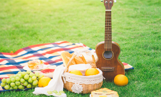 野餐用品行业市场需求前景及投资策略