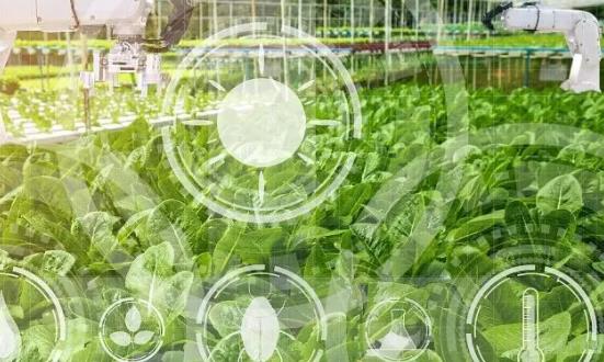 农业生物技术行业发展机遇 农业生物技术行业运行现状及发展战略