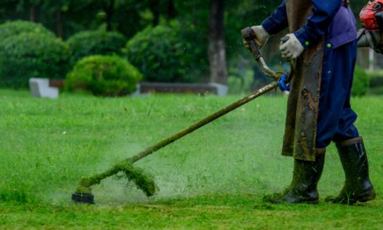 园林养护行业发展趋势 园林养护行业发展现状前景分析