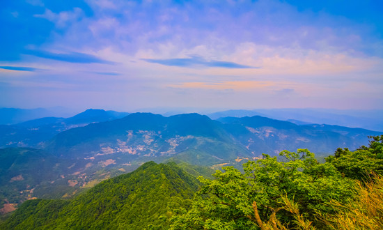 康养基地产业现状趋势及投资策略