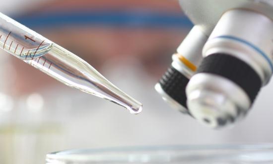 2023生物材料行业市场深度分析及发展前景