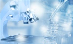 2023第三方检测服务未来价格走势预测