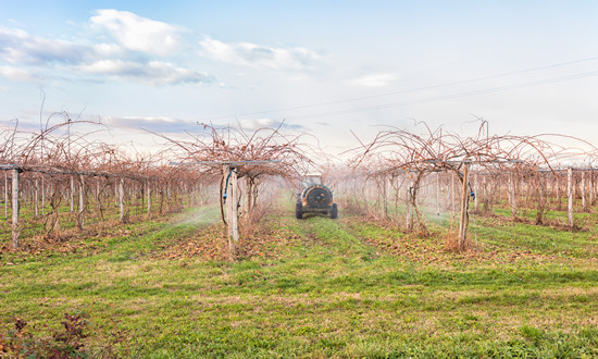 农膜产业市场运行及产业发展方向分析