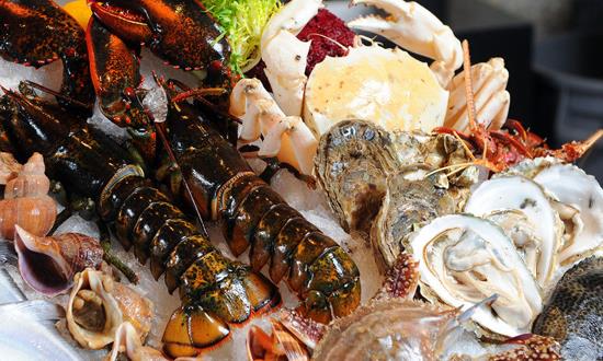  海洋功能性食品行业发展前景及投资分析