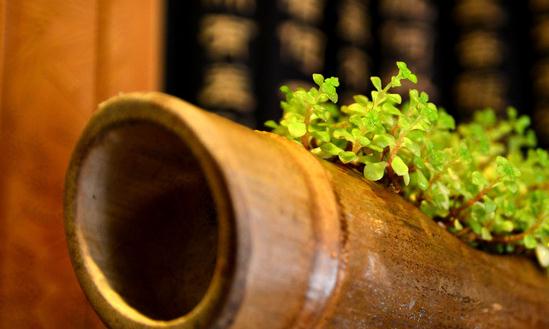 2023竹筒酒市场现状及前景分析