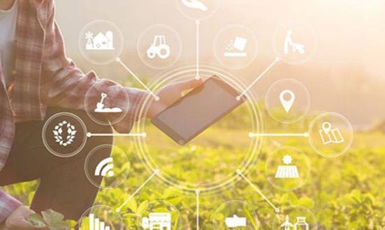 智能化设施农业投资前景及规划研究