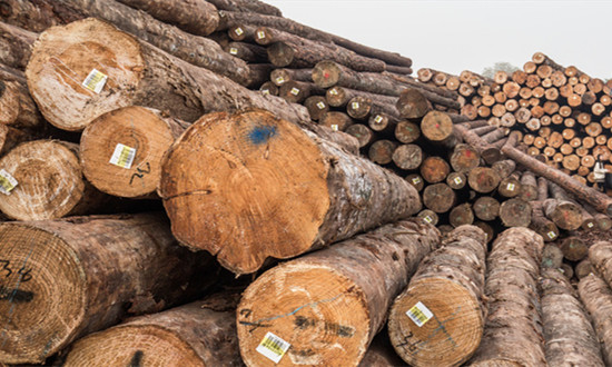 废旧木材行业发展分析及市场机遇现状