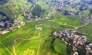 产业振兴是乡村振兴的重中之重 乡村振兴战略投融资发展分析及前景展望报告