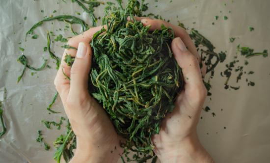 茶加工市场发展趋势及方向预测2023