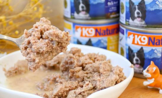 宠物罐头行业发展方向 宠物罐头行业发展现状前景分析2023