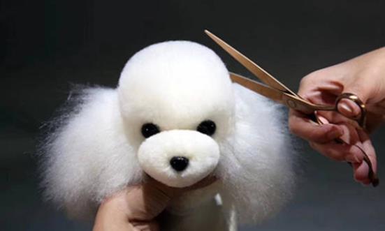 宠物美容行业市场格局 宠物美容行业发展前景投资分析2023