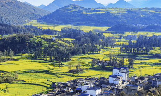 健康小镇行业运行现状及市场投资机会