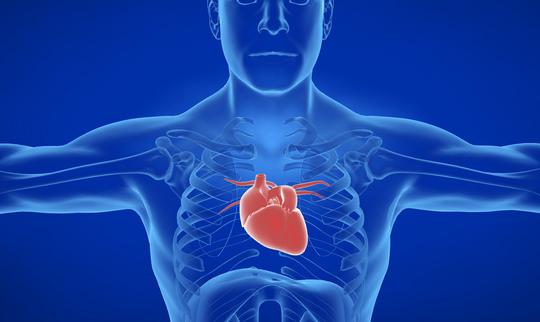 2023年心脏起搏器市场投资前景分析