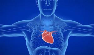 2023年心脏起搏器市场投资前景分析