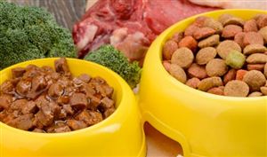 2023年宠物食品的新品类趋势洞察 宠物食品行业深度分析2023