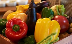 我国食材配送行业发展如何？ 2023年中国食材配送行业发展前景