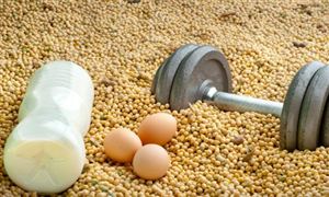 2023大豆蛋白行业发展分析及大豆蛋白企业发展分析