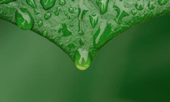 2023绿色食品电子商务行业市场调查与投资分析