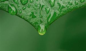 2023绿色食品电子商务行业市场调查与投资分析